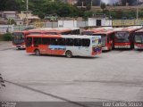 Transbus Transportes > Gávea Transportes 29159 na cidade de Ribeirão das Neves, Minas Gerais, Brasil, por Luiz Carlos Souza. Número da foto: #:id.