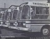 Auto Viação Triângulo  na cidade de São Bernardo do Campo, São Paulo, Brasil, por Adalberto Mattera. Número da foto: #5599248.