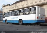 Viação Nossa Senhora Conquistadora 180 na cidade de Pelotas, Rio Grande do Sul, Brasil, por Felipe Ferreira Ribeiro. Número da foto: #5599132.