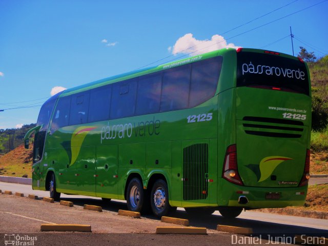 Pássaro Verde 12125 na cidade de Itabirito, Minas Gerais, Brasil, por Daniel Junior Sena. Número da foto: #5602333.