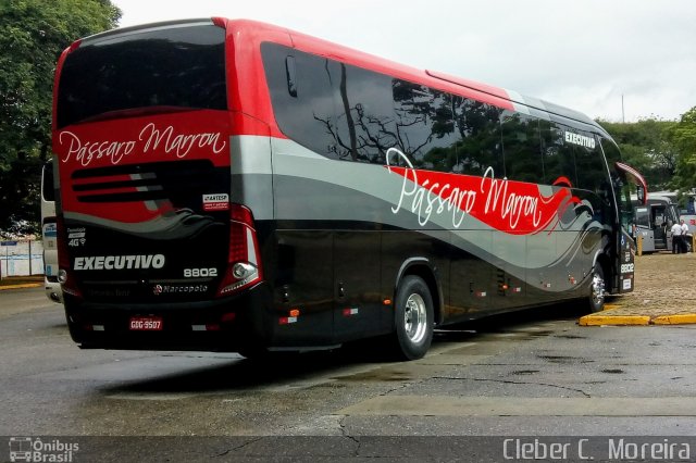 Empresa de Ônibus Pássaro Marron 8802 na cidade de São Paulo, São Paulo, Brasil, por Cleber C.  Moreira. Número da foto: #5600972.
