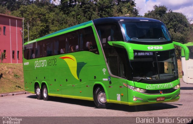 Pássaro Verde 12125 na cidade de Itabirito, Minas Gerais, Brasil, por Daniel Junior Sena. Número da foto: #5602335.
