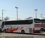 Bolonha Turismo 5550 na cidade de Cachoeira Paulista, São Paulo, Brasil, por Felipe Gonzalez. Número da foto: #5600931.