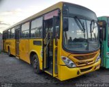 FAOL - Friburgo Auto Ônibus 459 na cidade de Nova Friburgo, Rio de Janeiro, Brasil, por Giuseppe Carvalho. Número da foto: #5600635.