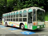 Ônibus Particulares 7381 na cidade de São Paulo, São Paulo, Brasil, por Renan Vieira. Número da foto: #5604521.
