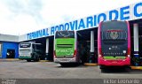 Viação Garcia 16166 na cidade de Osvaldo Cruz, São Paulo, Brasil, por Victor Leonardo Ferreira. Número da foto: #5605450.
