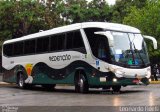Redenção Turismo 8250 na cidade de São Paulo, São Paulo, Brasil, por Leonardo Fidelli. Número da foto: #5606020.