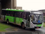 Viação Garcia 8393 na cidade de Apucarana, Paraná, Brasil, por Pedroka Ternoski. Número da foto: #5607487.