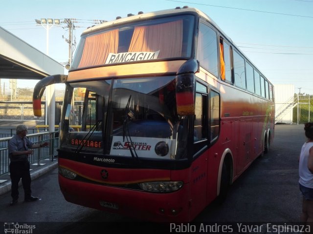 Pullman Setter 02 na cidade de Rancagua, Cachapoal, Libertador General Bernardo O'Higgins, Chile, por Pablo Andres Yavar Espinoza. ID da foto: 5610565.