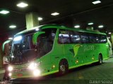 Pássaro Verde 15134 na cidade de Belo Horizonte, Minas Gerais, Brasil, por Daniel Souza. Número da foto: #5613275.