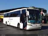 Pullman El Huique ZJ1614 na cidade de , por Jorgeandres Jorge Andres. Número da foto: #5611321.