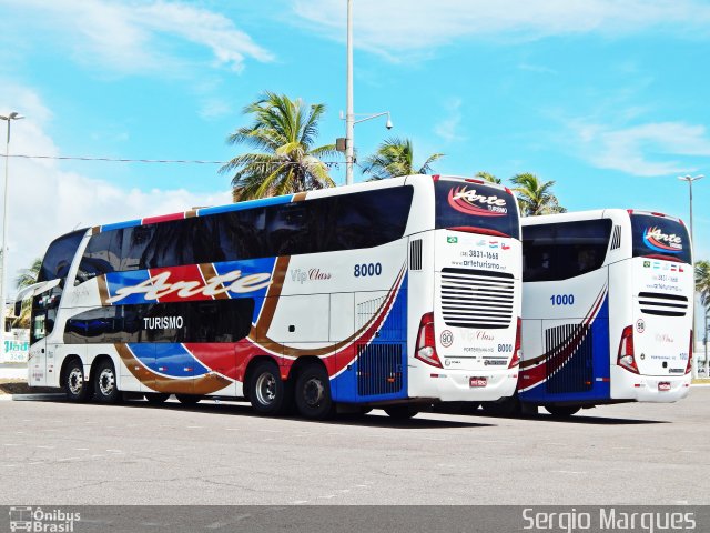 Arte Transportes e Turismo 8000 na cidade de Aracaju, Sergipe, Brasil, por Sergio Marques . Número da foto: #5544097.