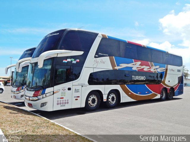 Arte Transportes e Turismo 8000 na cidade de Aracaju, Sergipe, Brasil, por Sergio Marques . Número da foto: #5544128.
