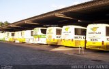 Empresa Gontijo de Transportes 10115 na cidade de Belo Horizonte, Minas Gerais, Brasil, por Maurício Nascimento. Número da foto: #5544980.