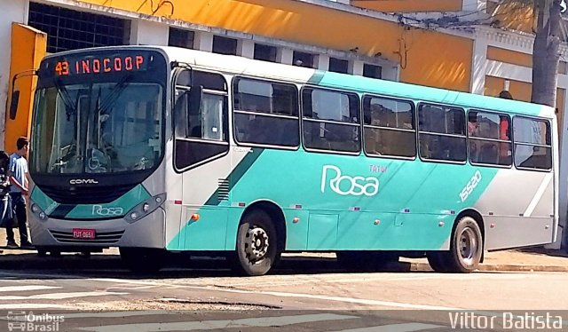 Rosa Turismo 15520 na cidade de Tatuí, São Paulo, Brasil, por Vittor Batista. Número da foto: #5616512.
