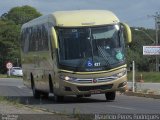 SOGIL - Sociedade de Ônibus Gigante Ltda. 427 na cidade de Gravataí, Rio Grande do Sul, Brasil, por Mauricio Peres Rodrigues. Número da foto: #:id.