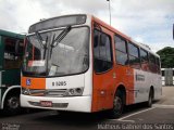Auto Viação Transcap >> Auto Bless Transportes 8 5205 na cidade de São Paulo, São Paulo, Brasil, por Matheus Gabriel dos Santos. Número da foto: #5546651.