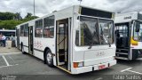 Ônibus Particulares 569 na cidade de São Paulo, São Paulo, Brasil, por Fábio Santos. Número da foto: #5548483.