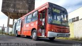 Transbus Transportes > Gávea Transportes 29025 na cidade de Ribeirão das Neves, Minas Gerais, Brasil, por Allan Freittas. Número da foto: #5548582.