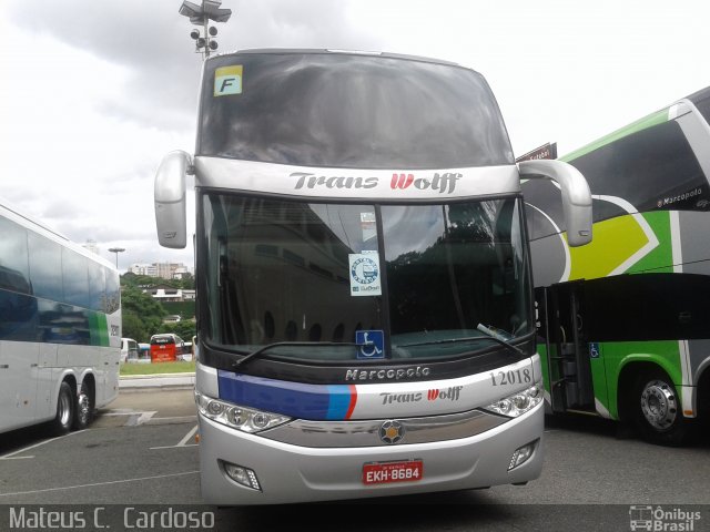 Transwolff Transportes e Turismo 12018 na cidade de São Paulo, São Paulo, Brasil, por Mateus C.  Cardoso. ID da foto: 5552475.