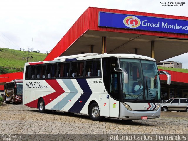 Hibisco Turismo 600 na cidade de João Monlevade, Minas Gerais, Brasil, por Antonio Carlos Fernandes. Número da foto: #5552245.