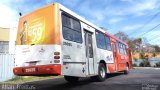 Transbus Transportes > Gávea Transportes 29025 na cidade de Ribeirão das Neves, Minas Gerais, Brasil, por Allan Freittas. Número da foto: #5560527.