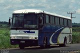 Andevi Transportes e Locadora de Veículos 2035 na cidade de Cândido Mota, São Paulo, Brasil, por Francisco Ivano. Número da foto: #5561112.
