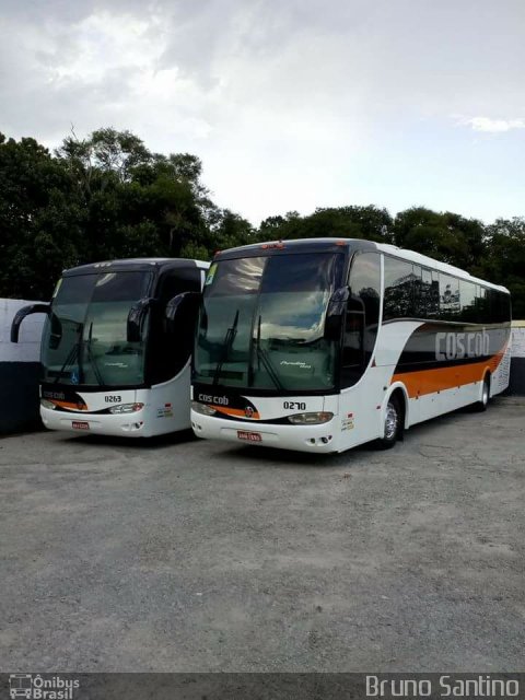 Cos Cob Agência de Viagens e Turismo 0270 na cidade de Cotia, São Paulo, Brasil, por Bruno Santino. Número da foto: #4830949.