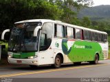 Pássaro Verde 29007 na cidade de Mariana, Minas Gerais, Brasil, por César Natividade. Número da foto: #:id.