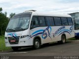 Transportes Coletivos Stockmann 1721 na cidade de Porto Vitória, Paraná, Brasil, por André Felipe Mudrei. Número da foto: #4832309.