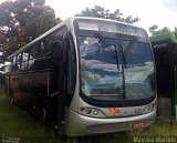 Rápido Campinas 420 na cidade de São João da Boa Vista, São Paulo, Brasil, por Mayara Martins. Número da foto: #:id.