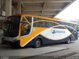 Viação Progresso 31307 na cidade de Muriaé, Minas Gerais, Brasil, por Christian  Fortunato. Número da foto: #4810311.