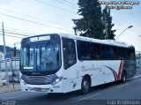 Paraibuna Transportes 16010 na cidade de Juiz de Fora, Minas Gerais, Brasil, por Luiz Krolman. Número da foto: #4855105.
