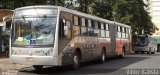 Rápido Campinas 10274 na cidade de Jundiaí, São Paulo, Brasil, por Vittor Batista. Número da foto: #4860219.