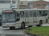 Araucária Transportes Coletivos 19L22 na cidade de Curitiba, Paraná, Brasil, por Gustavo Campos Gatti. Número da foto: #:id.