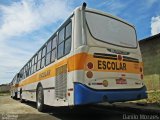 Emanuel Transportes 2260 na cidade de Serra, Espírito Santo, Brasil, por Danilo Moraes. Número da foto: #4858248.