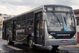 Expresso Nordeste 2070 na cidade de Apucarana, Paraná, Brasil, por Pedroka Ternoski. Número da foto: #:id.
