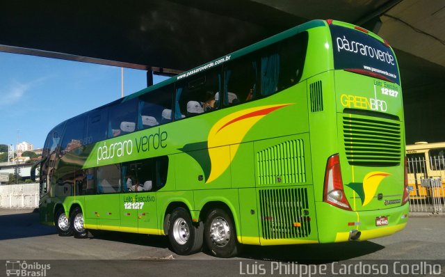 Pássaro Verde 12127 na cidade de Belo Horizonte, Minas Gerais, Brasil, por Luis Philippe Cardoso Coelho. Número da foto: #4865192.