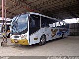 Águia Dourada 2020 na cidade de Aracaju, Sergipe, Brasil, por Rafael Rodrigues Forencio. Número da foto: #:id.