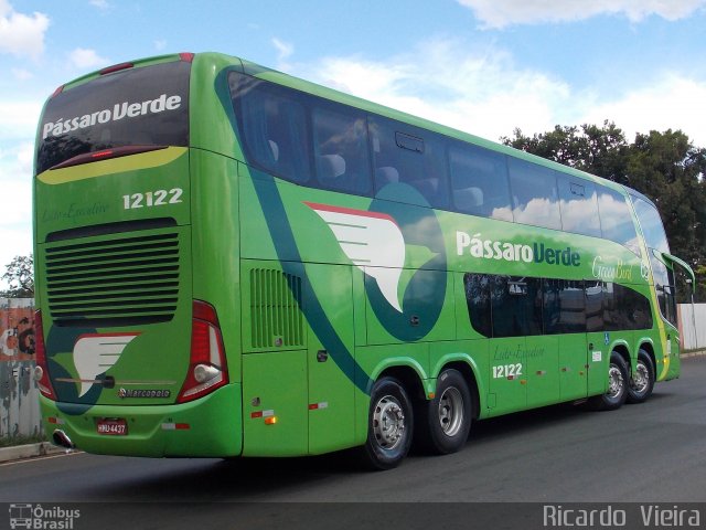 Pássaro Verde 12122 na cidade de Brasília, Distrito Federal, Brasil, por Ricardo Vieira. Número da foto: #4868621.