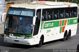 Empresa Gontijo de Transportes 21110 na cidade de Belo Horizonte, Minas Gerais, Brasil, por João Victor Marques. Número da foto: #4869656.
