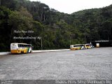 Empresa Gontijo de Transportes 12175 na cidade de Manhuaçu, Minas Gerais, Brasil, por Thales Pires Silva. Número da foto: #4868138.