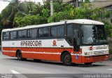 VINSAL - Viação Nossa Senhora Aparecida RJ 187.022 na cidade de Volta Redonda, Rio de Janeiro, Brasil, por Leonardo Fidelli. Número da foto: #4872889.