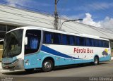 Pérola do Sul > Pérola Bus 107 na cidade de Pelotas, Rio Grande do Sul, Brasil, por Robson Velasques. Número da foto: #:id.
