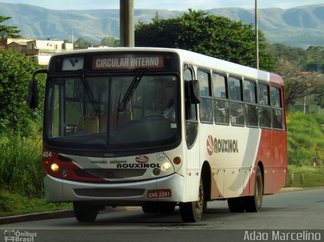 Rouxinol 404 na cidade de Belo Horizonte, Minas Gerais, Brasil, por Adão Raimundo Marcelino. ID da foto: 4874685.