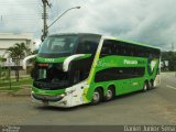 Pássaro Verde 12123 na cidade de Itabirito, Minas Gerais, Brasil, por Daniel Junior Sena. Número da foto: #4874205.