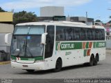 Empresa Gontijo de Transportes 20140 na cidade de Divinópolis, Minas Gerais, Brasil, por Christian Teixeira de Sousa. Número da foto: #4874978.