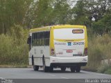 Viação Pioneira 224235 na cidade de Brasília, Distrito Federal, Brasil, por Ricardo Vieira. Número da foto: #4812267.