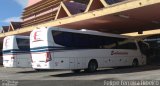 Expresso Embaixador 270 na cidade de Pelotas, Rio Grande do Sul, Brasil, por Felipe Ferreira Ribeiro. Número da foto: #4817460.