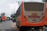 Pepa Transporte 03 na cidade de Santarém, Pará, Brasil, por Carlos Jorge N.  de Castro. Número da foto: #4819198.